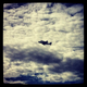 Image for article titled NASA Captures Shuttle's Capitol Hill Flyby With—What Else—Instagram (Updated)